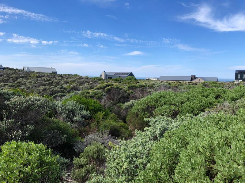 0 Bedroom Property for Sale in Romansbaai Estate Western Cape